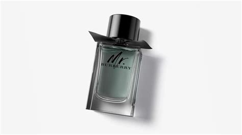 mr burberry cologne scent notes